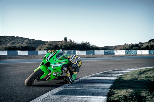 Kawasaki Ninja ZX-10R  (2025)